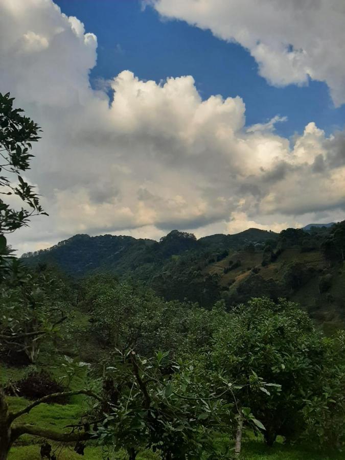 Homestay Rural San Francisco *